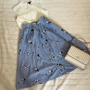 Beautiful Zara Skirt